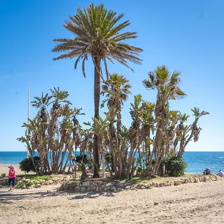 34 Rooftop Sea Views 에스테포나